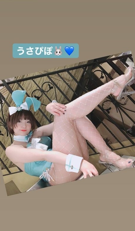 Ayame_apricot photo 1553