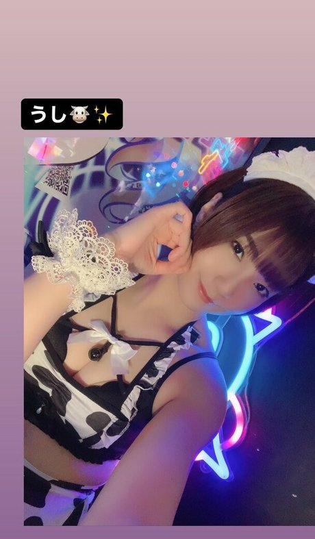 Ayame_apricot photo 1556