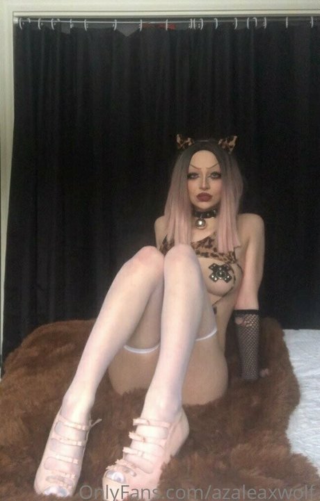 Azaleax Wolf photo 27