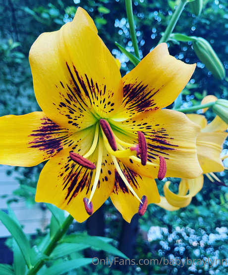 Babybraylynn photo 22