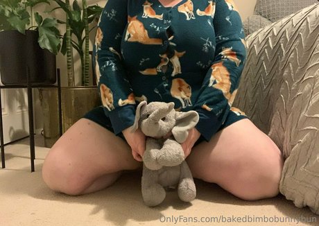Bakedbimbobunnybun photo 38