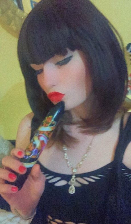 Bambicat photo 26