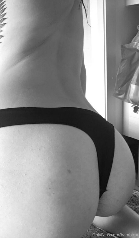 Bambicat photo 28
