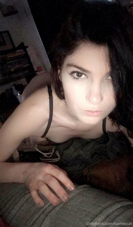 Bambicat photo 29