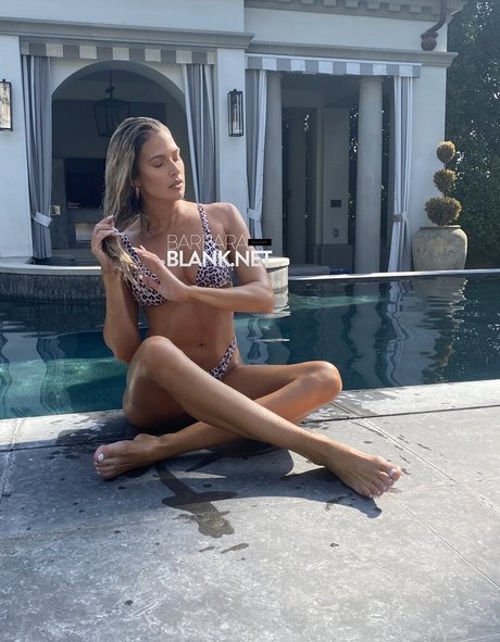 Barbie Blank photo 464