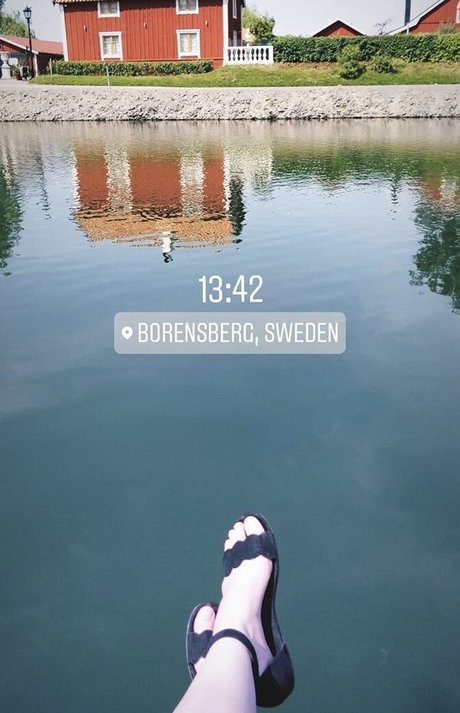 Basostream photo 113