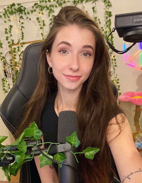 Basostream photo 165