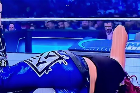 Bayley photo 539