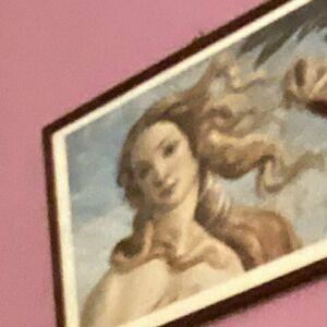 Profile photo of bbw_demetra