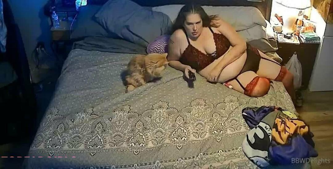 Bbwdelights
