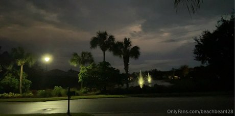 Beachbear428 photo 28