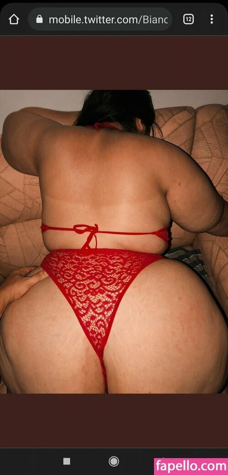 Bianca Novaes photo 59