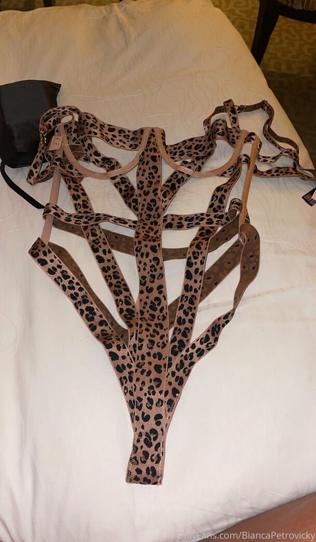 Biancapetrovickyoficial photo 53