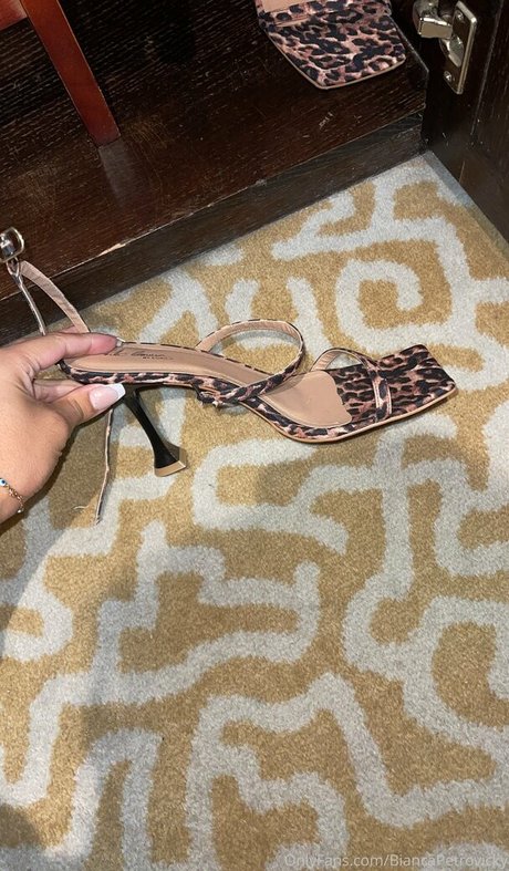 Biancapetrovickyoficial photo 54