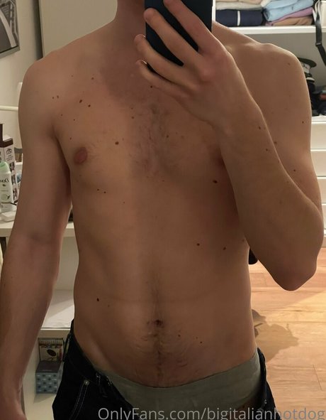 Bigitalianhotdog photo 14