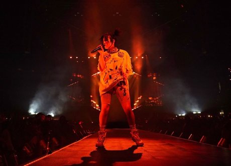 Billie Eilish photo 1389