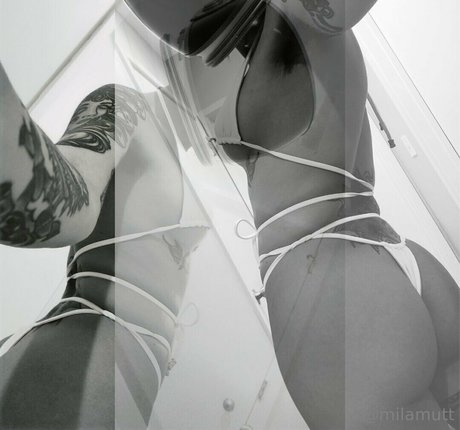 Bimbodisco photo 6