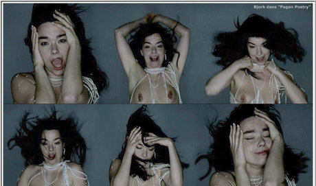 Bjork photo 1