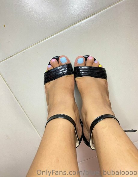 Blue_bubaloooo photo 488