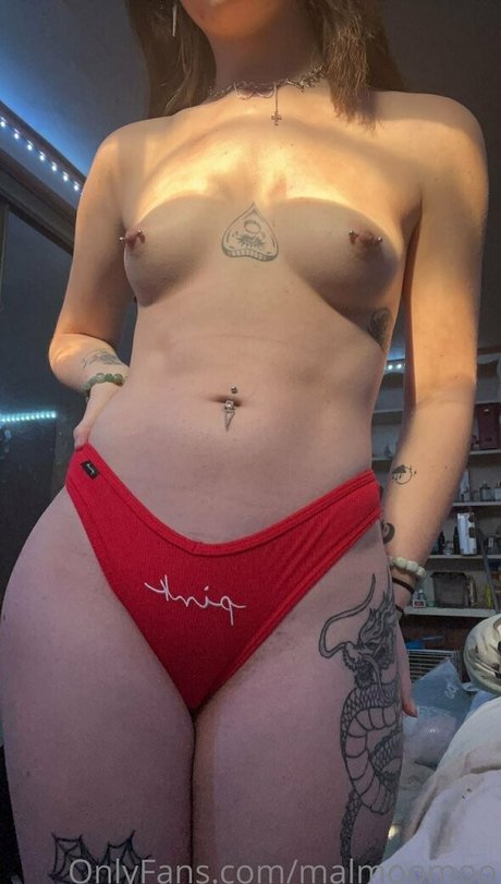 Bluestarefire photo 1