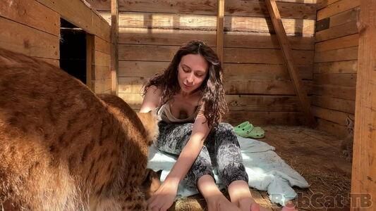 Bobcat photo 5