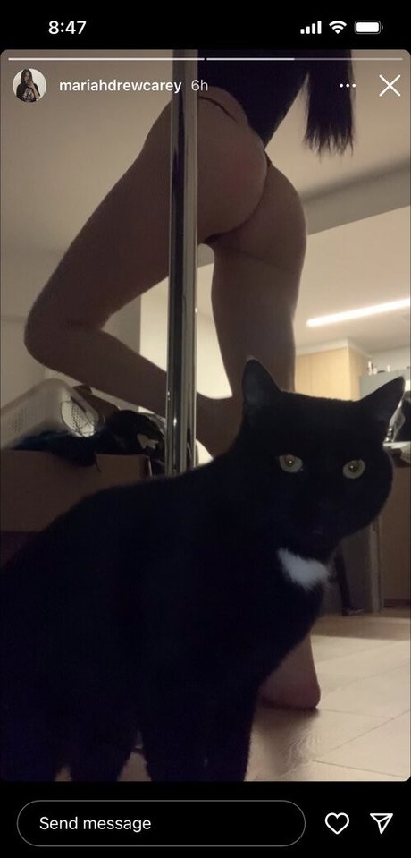 Boobsandbeef photo 24