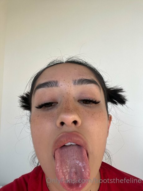Profile photo of Boots
