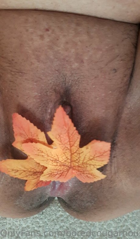 Boredcougarhousewife photo 3