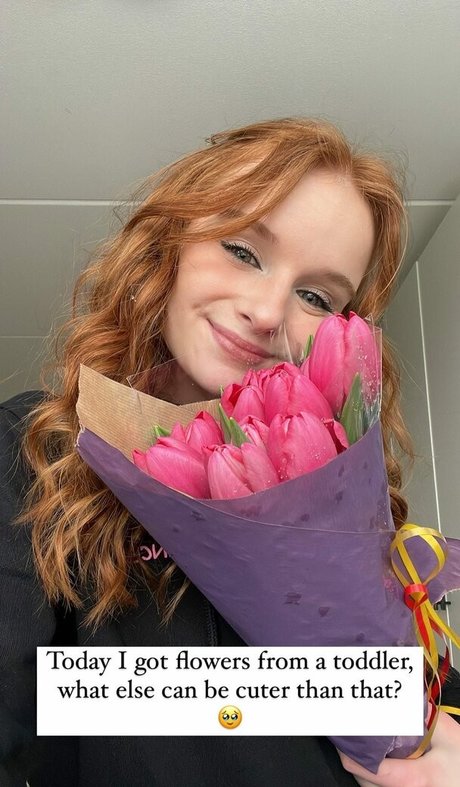 Bregjelander photo 15