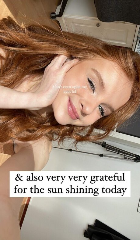 Bregjelander photo 17