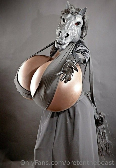 Bretonthebeast photo 75
