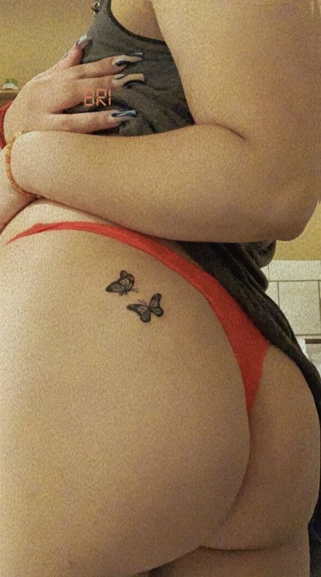 Bribeibi photo 7