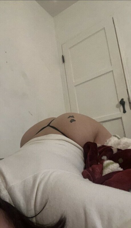 Bribeibi photo 8