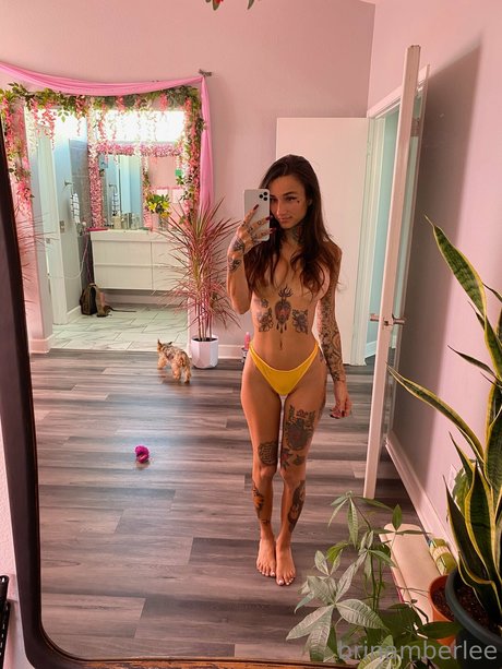 Brin Amberlee photo 34