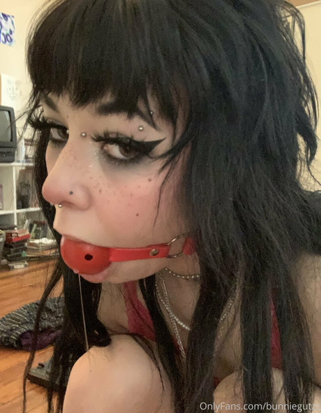 Bunniegutzz photo 15