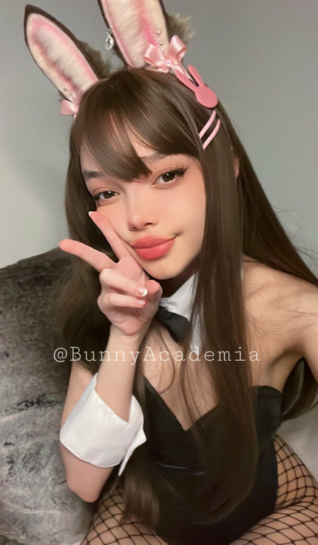 Bunnyacademia photo 46