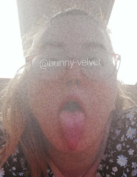 Bunnyvelvettvfree photo 10