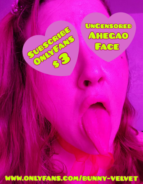 Bunnyvelvettvfree photo 20