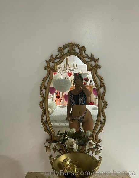 Caamibernaal photo 152