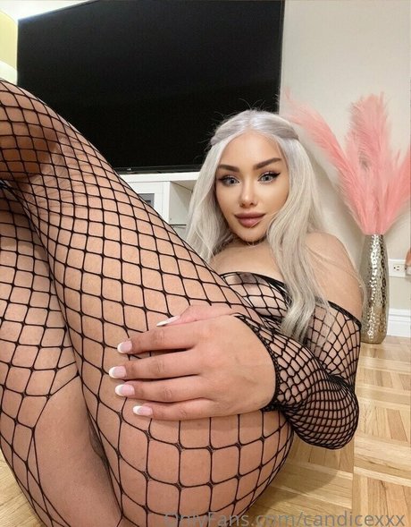 Candicexxx photo 978