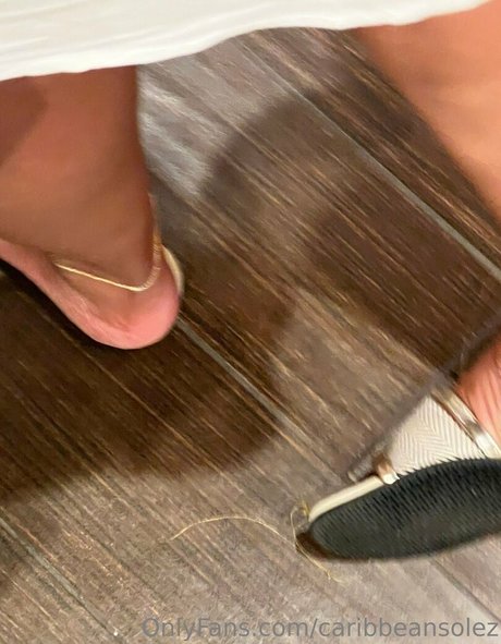 Caribbeansolez photo 91