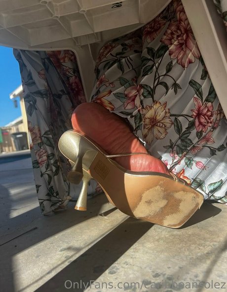Caribbeansolez photo 118