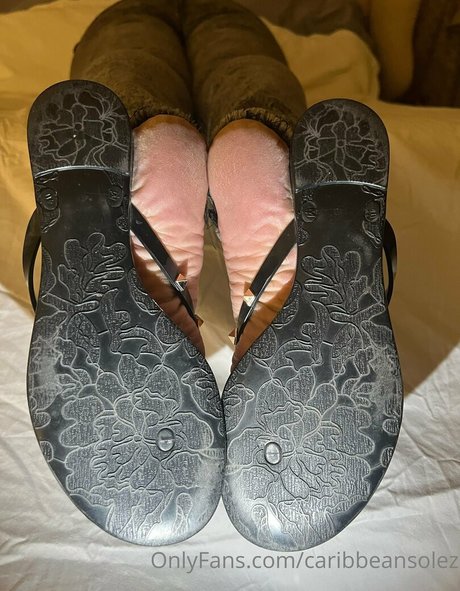 Caribbeansolez photo 167