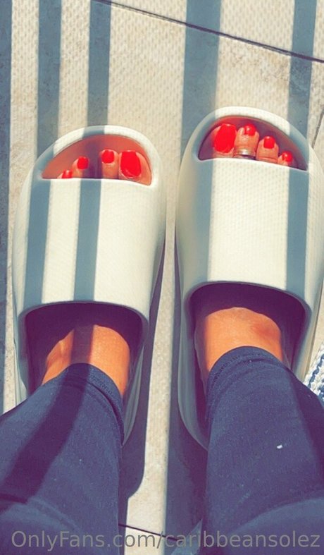 Caribbeansolez photo 263