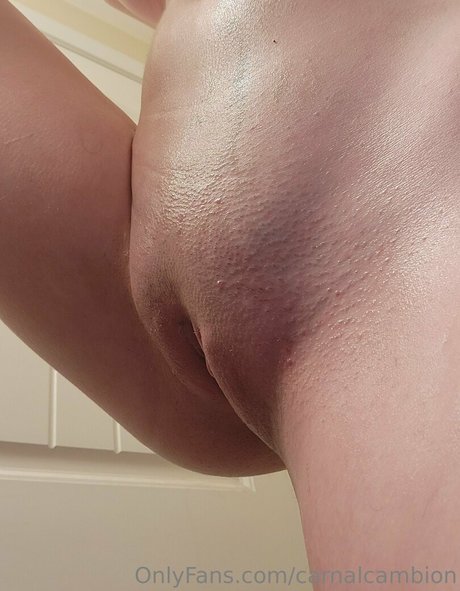 Carnalcambion photo 2