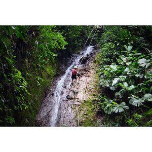 Caroline Wall photo 318