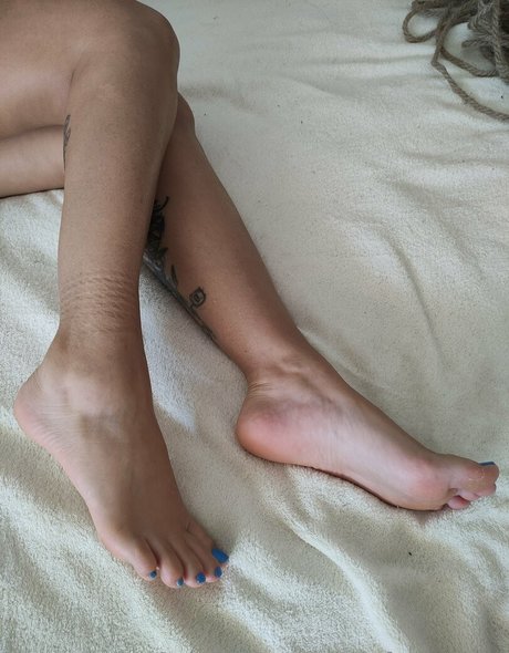 Cat_feetdelsur photo 12