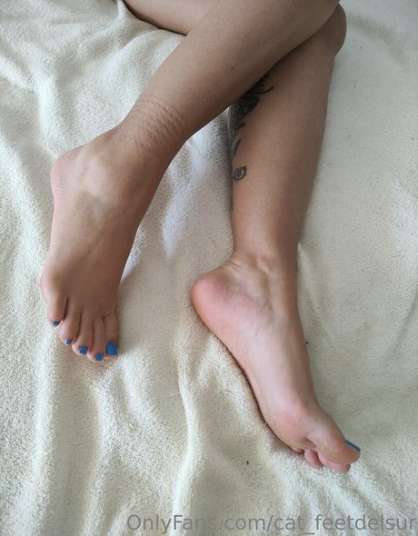 Cat_feetdelsur photo 13