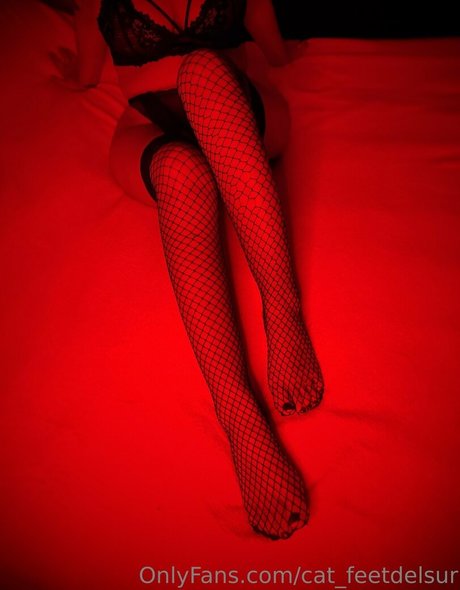 Cat_feetdelsur photo 26
