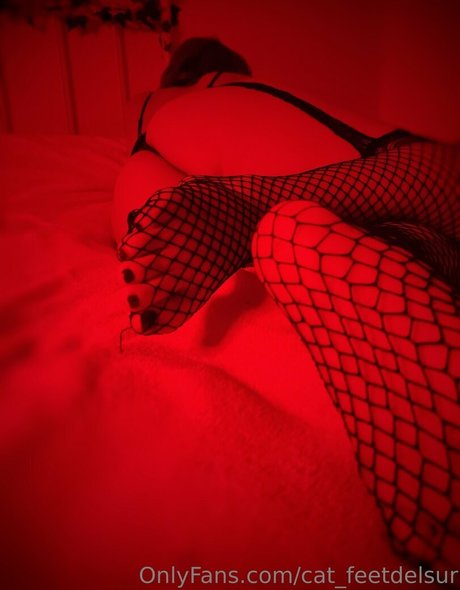 Cat_feetdelsur photo 30